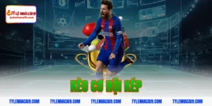 Định nghĩa kèo cơ hội kép là gì và bí kíp đánh cực chuẩn 16 kèo cơ hội kép