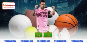 Hướng dẫn cách chơi và soi kèo xiên luôn thắng hôm nay VIP 6 kèo xiên
