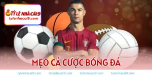 Mẹo cá cược bóng đá 2026: Bí kíp soi kèo thắng lớn mỗi ngày 3 Mẹo cá cược bóng đá