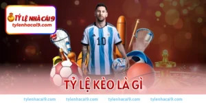Tỷ lệ kèo là gì? Cách xem kèo và tính tiền chuẩn nhất 2026 2 Tỷ lệ kèo là gì
